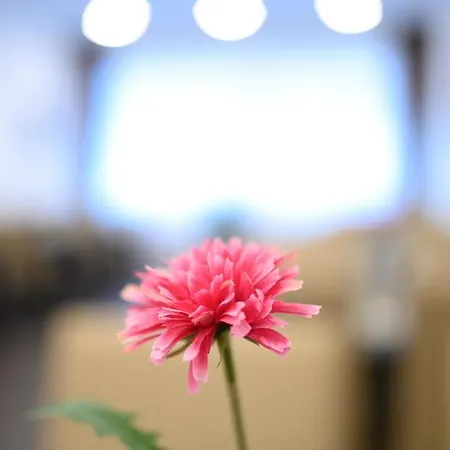 Luna ホテル オッフェンバッハ